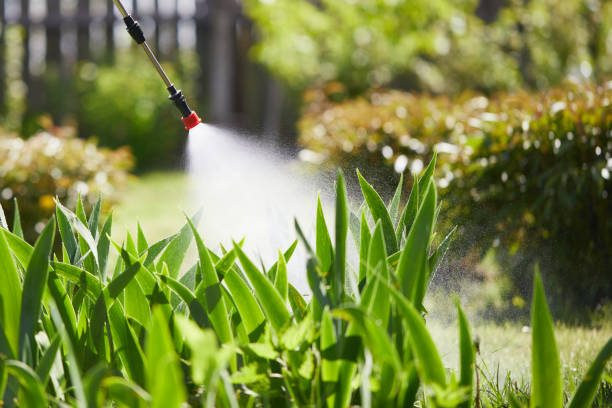 Tamper-Resistant Bait Stations for Rodents in Walton Hills