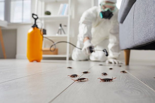 Commercial Rodent Management in Walton Hills